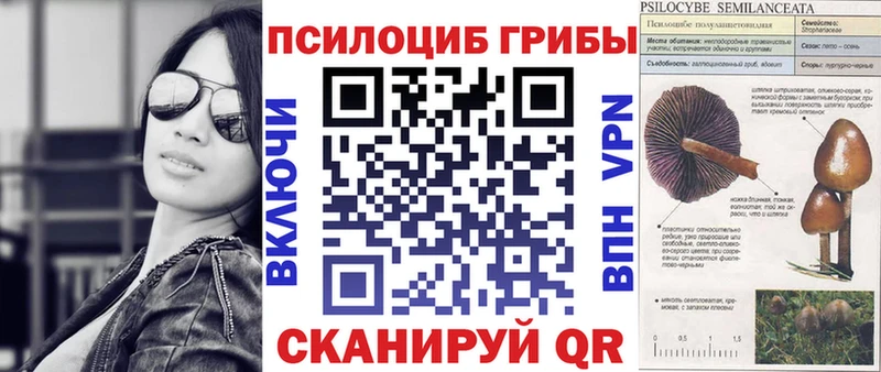 закладки  Усолье-Сибирское  Псилоцибиновые грибы мицелий 